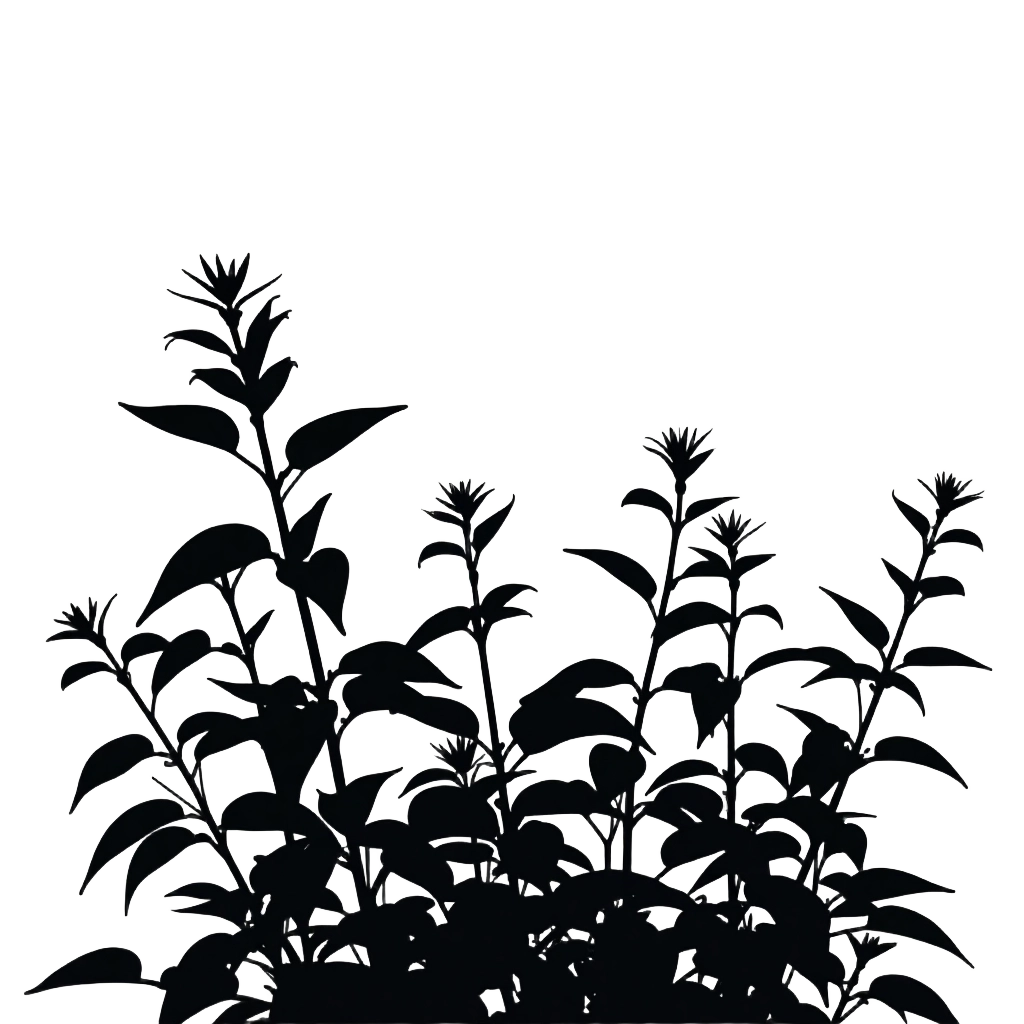 Garden Plants Silhouette